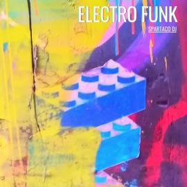 ELECTRO FUNK - MARIANI MARCO